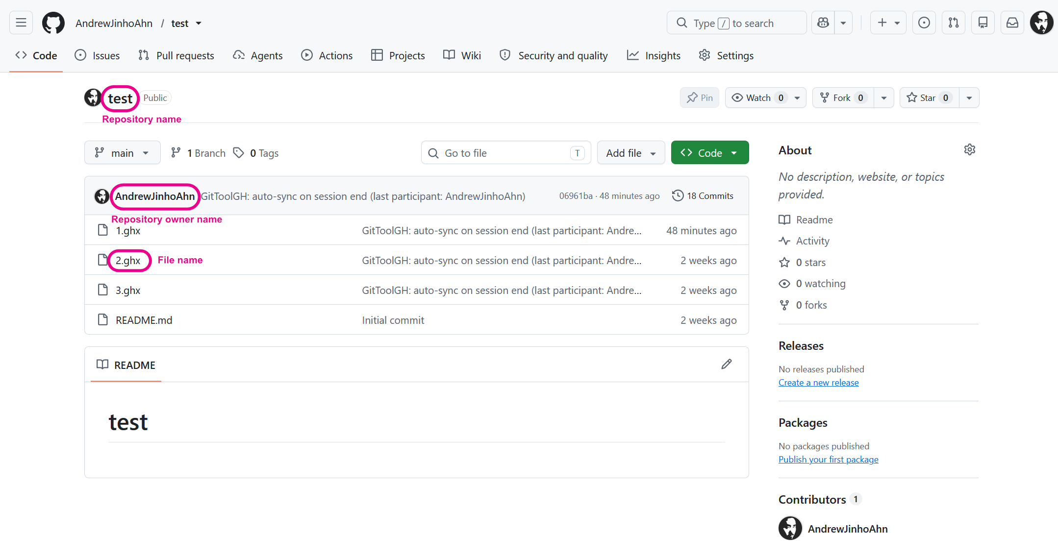 GitHub repository with annotations identifying the repository name, owner name and GHX filename